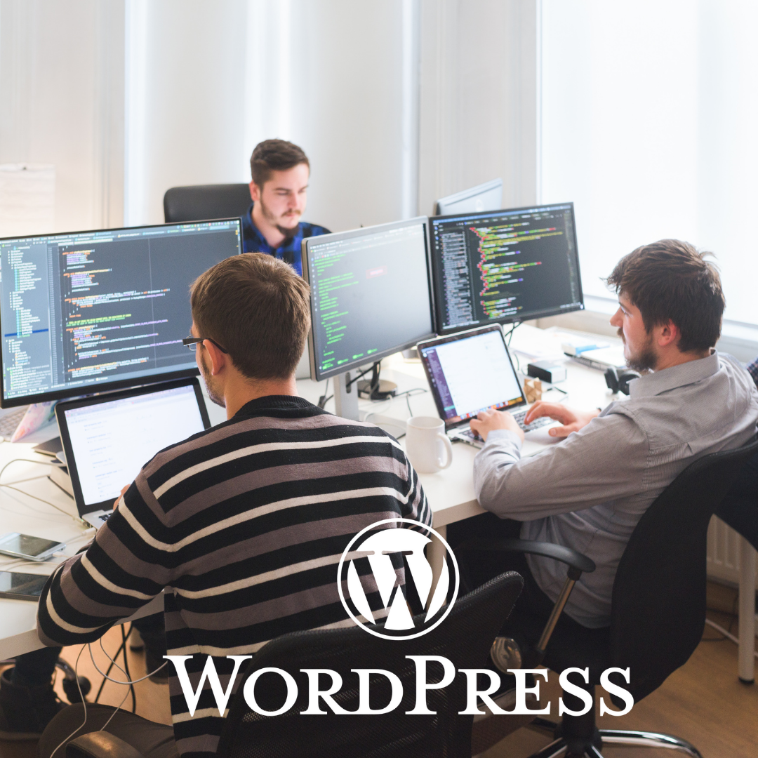 wordpress website yönetimi